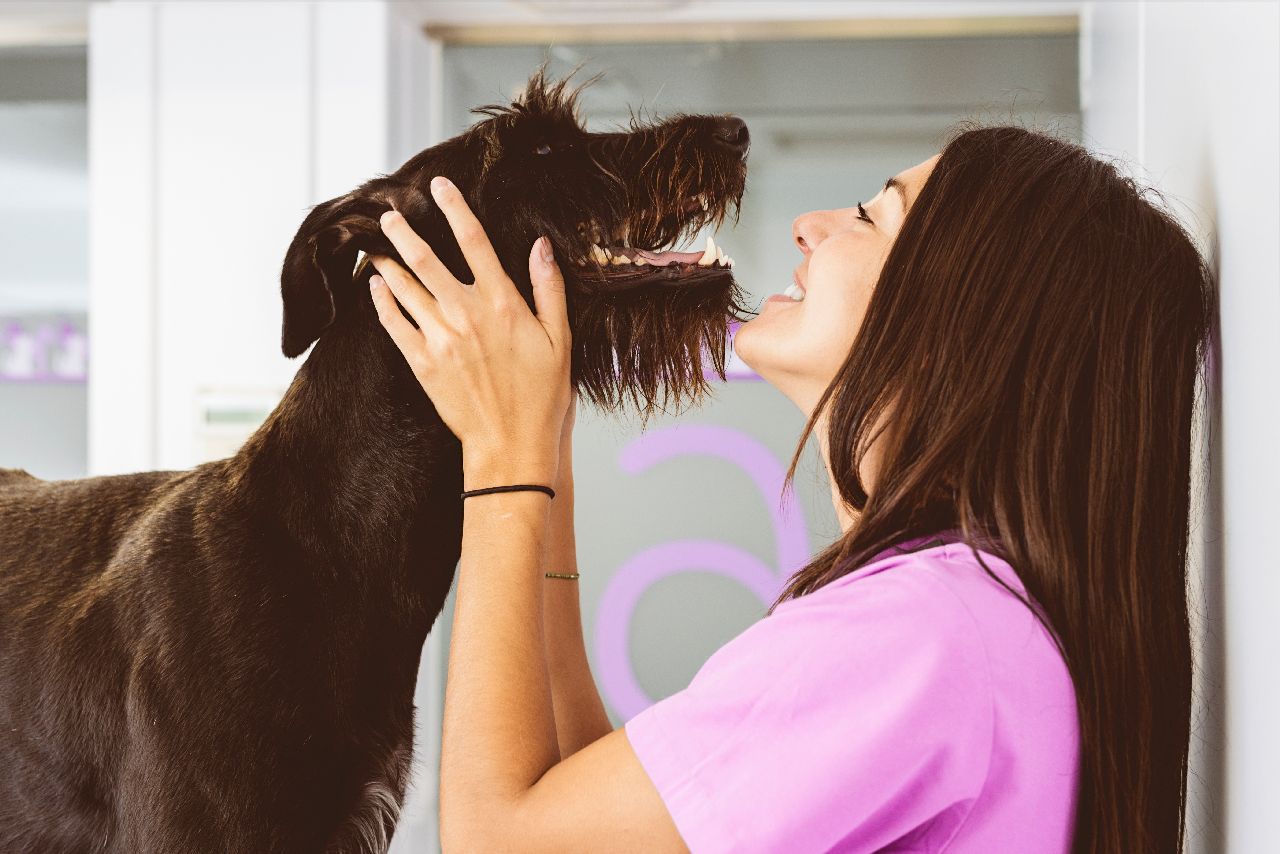 assistante vétérinaire et un chien