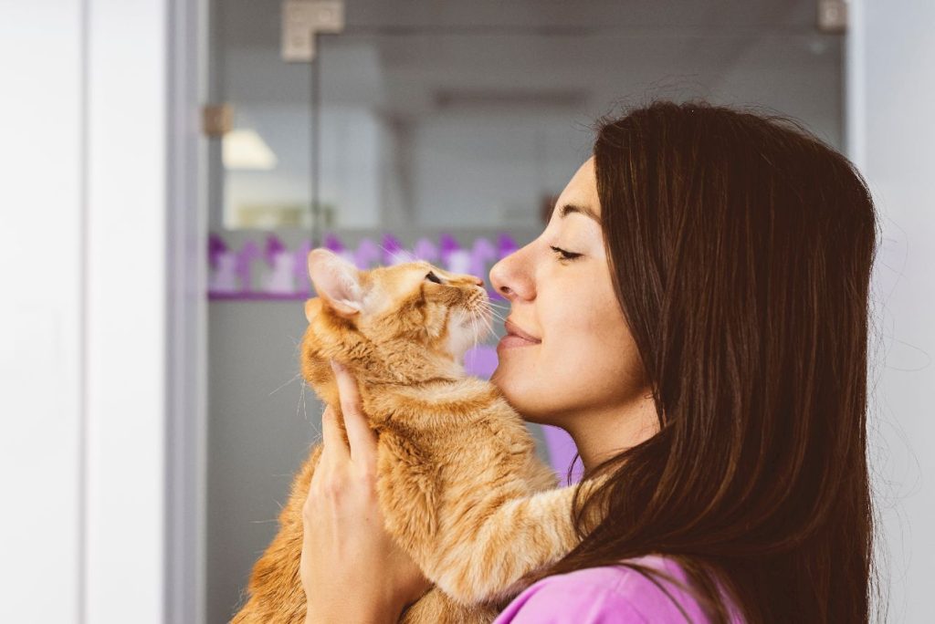 assistante vétérinaire et un chat